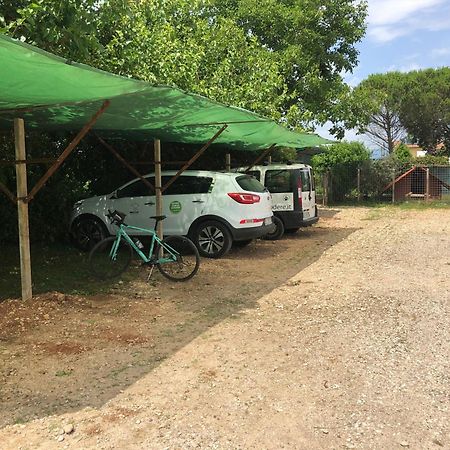 Agriturismo Il Podere Vedelago Con San Bernardo, Alpaca E Una Pentola Di Cose Da Scoprire Bagian luar foto