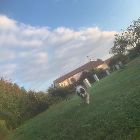 Agriturismo Il Podere Vedelago Con San Bernardo, Alpaca E Una Pentola Di Cose Da Scoprire Bagian luar foto