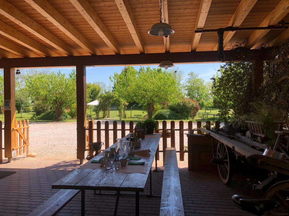 Agriturismo Il Podere Vedelago Con San Bernardo, Alpaca E Una Pentola Di Cose Da Scoprire Bagian luar foto