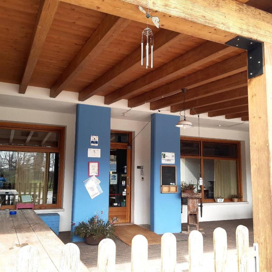 Agriturismo Il Podere Vedelago Con San Bernardo, Alpaca E Una Pentola Di Cose Da Scoprire Bagian luar foto