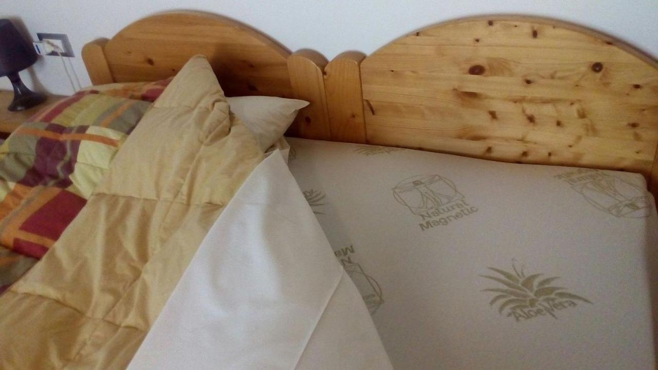 Agriturismo Il Podere Vedelago Con San Bernardo, Alpaca E Una Pentola Di Cose Da Scoprire Bagian luar foto