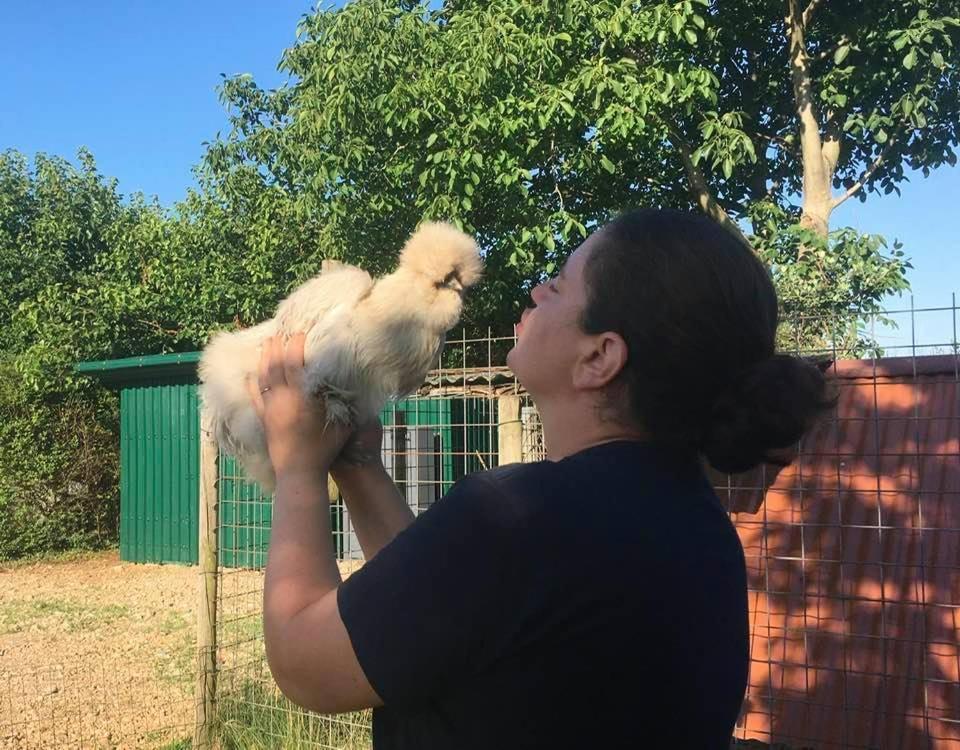 Agriturismo Il Podere Vedelago Con San Bernardo, Alpaca E Una Pentola Di Cose Da Scoprire Bagian luar foto
