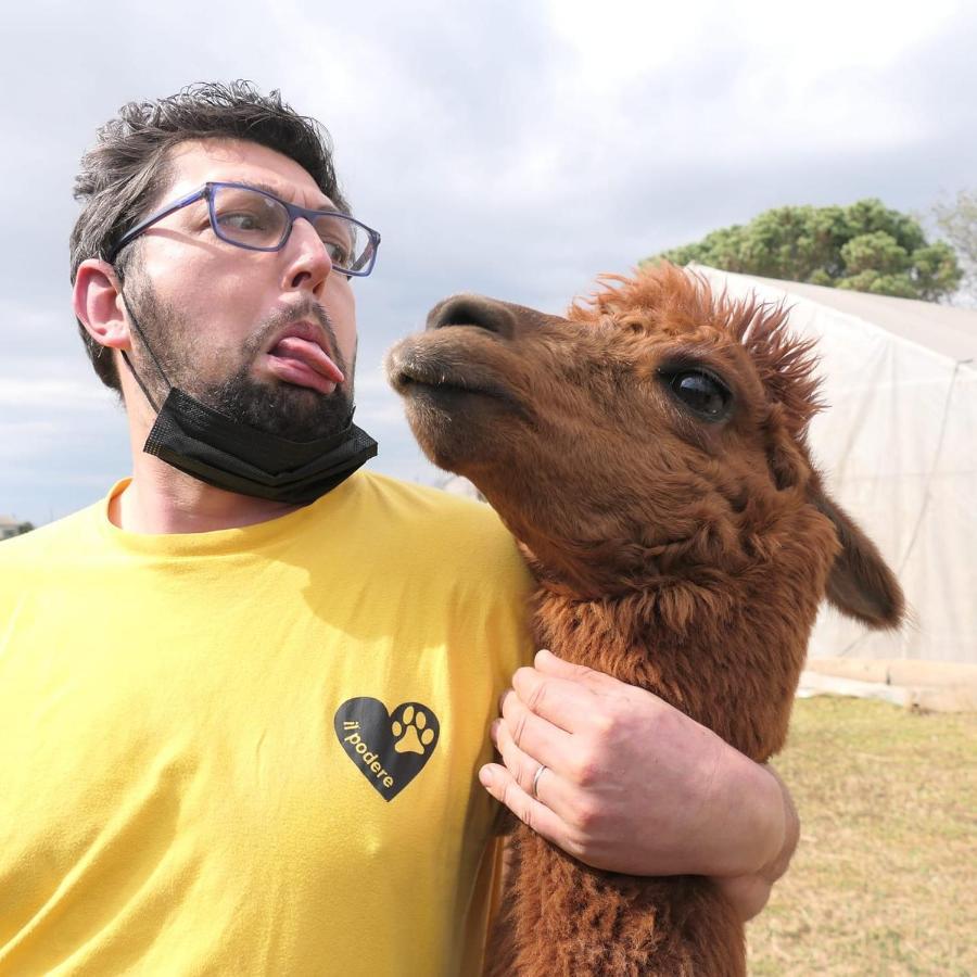 Agriturismo Il Podere Vedelago Con San Bernardo, Alpaca E Una Pentola Di Cose Da Scoprire Bagian luar foto