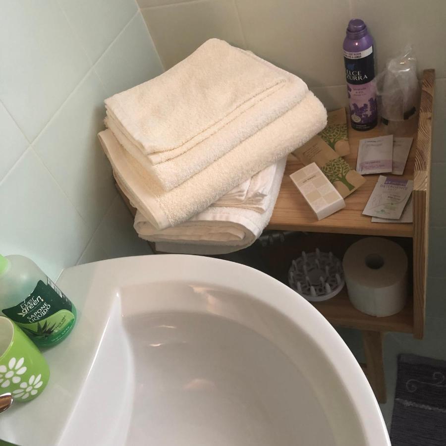 Agriturismo Il Podere Vedelago Con San Bernardo, Alpaca E Una Pentola Di Cose Da Scoprire Bagian luar foto