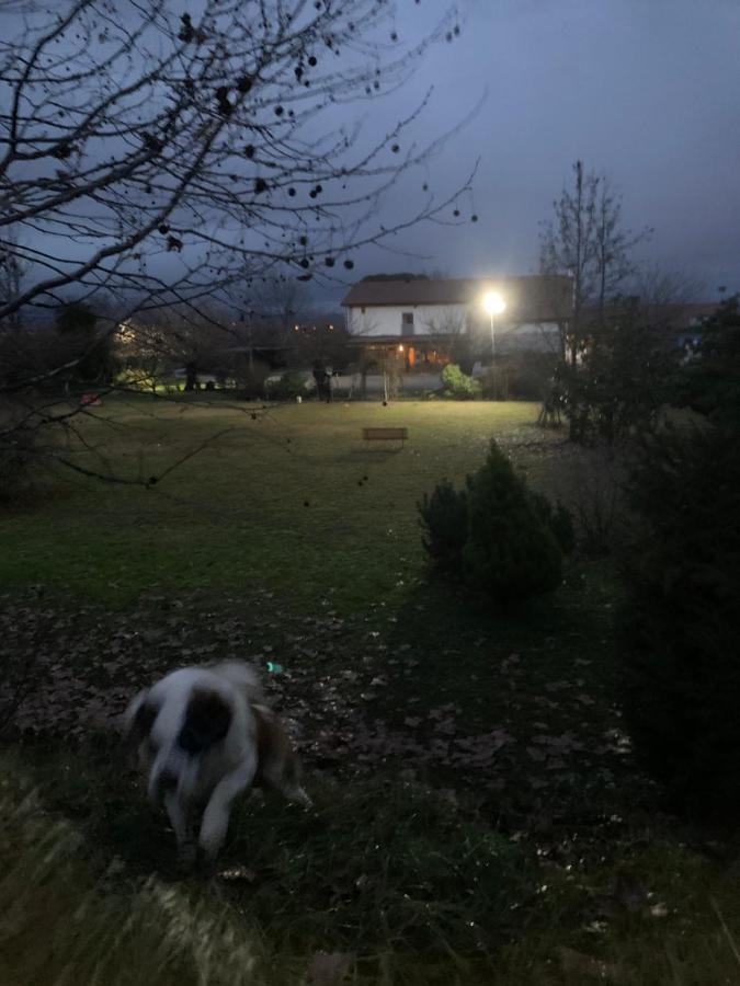 Agriturismo Il Podere Vedelago Con San Bernardo, Alpaca E Una Pentola Di Cose Da Scoprire Bagian luar foto
