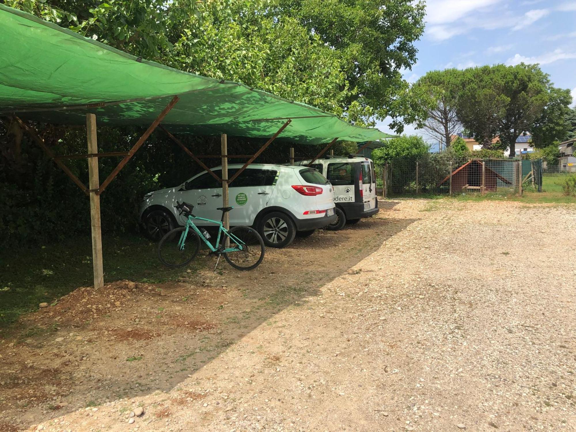 Agriturismo Il Podere Vedelago Con San Bernardo, Alpaca E Una Pentola Di Cose Da Scoprire Bagian luar foto