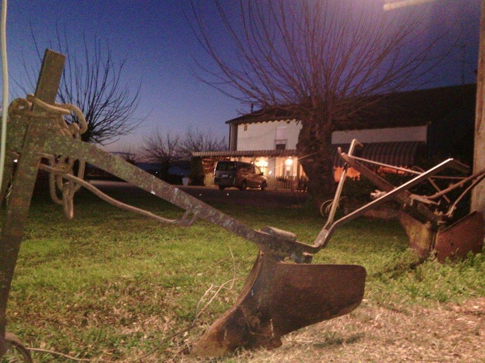 Agriturismo Il Podere Vedelago Con San Bernardo, Alpaca E Una Pentola Di Cose Da Scoprire Bagian luar foto