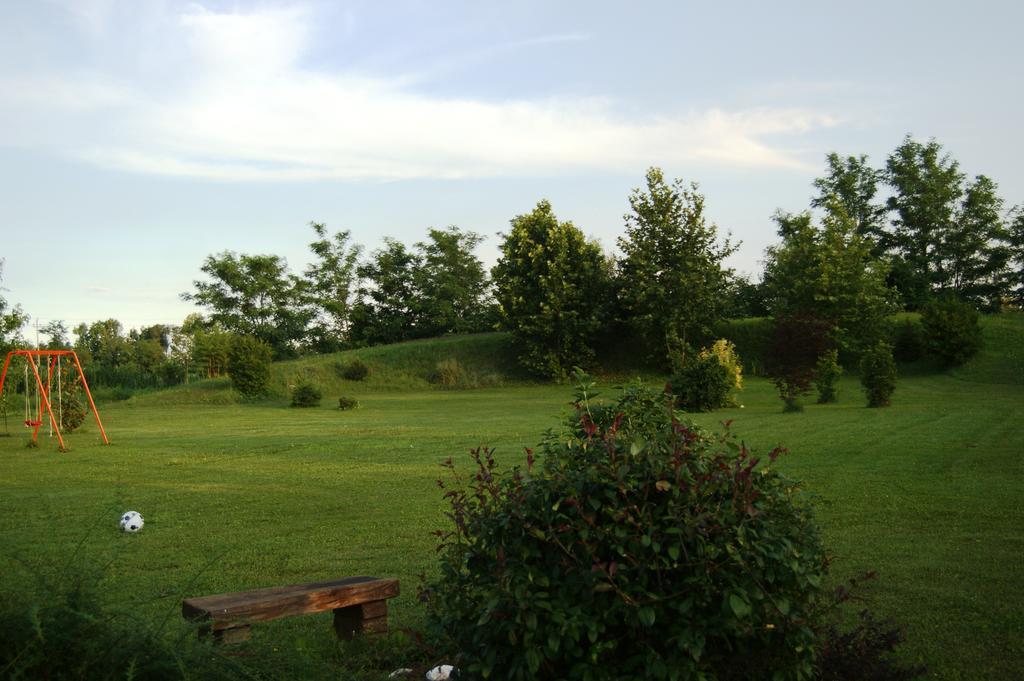 Agriturismo Il Podere Vedelago Con San Bernardo, Alpaca E Una Pentola Di Cose Da Scoprire Bagian luar foto