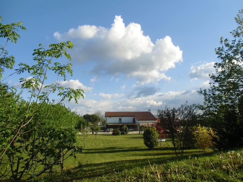 Agriturismo Il Podere Vedelago Con San Bernardo, Alpaca E Una Pentola Di Cose Da Scoprire Bagian luar foto