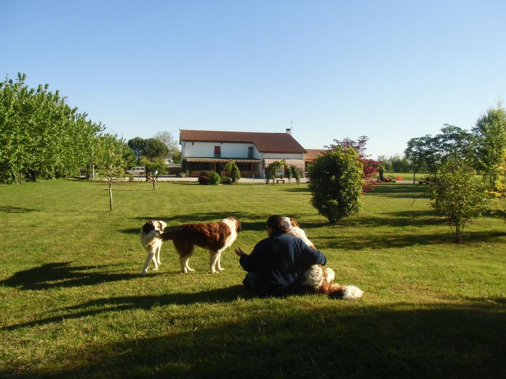 Agriturismo Il Podere Vedelago Con San Bernardo, Alpaca E Una Pentola Di Cose Da Scoprire Bagian luar foto